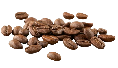 image-removebg-preview_24.png__PID:6c2b1739-9fe3-4caa-aed6-dc70f203bf8d