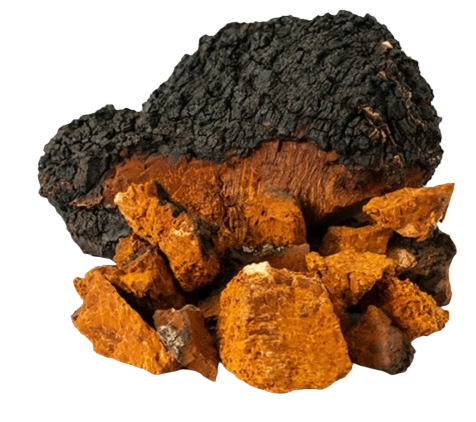 photo_5992433582670464116_w-removebg-preview.png__PID:f7432e77-f013-4403-9ff6-16fd0a528509