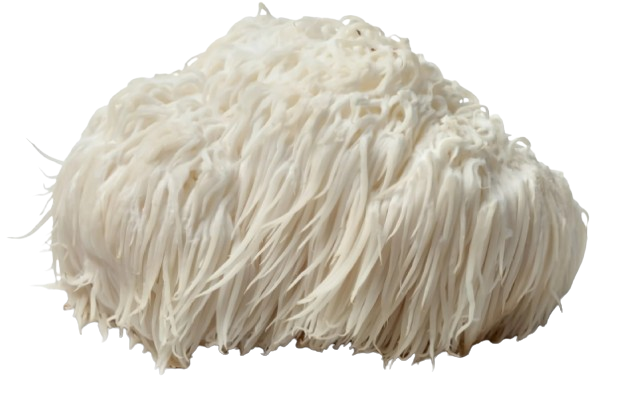 photo_5992433582670464122_w-removebg-preview.png__PID:09edc7b0-51ea-453e-8757-740f4ee4b401