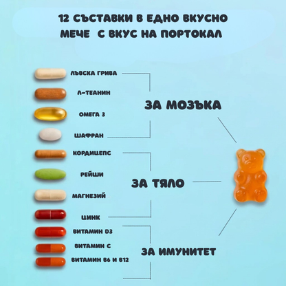 Urși 12 în 1 pentru funcționarea creierului și imunitate