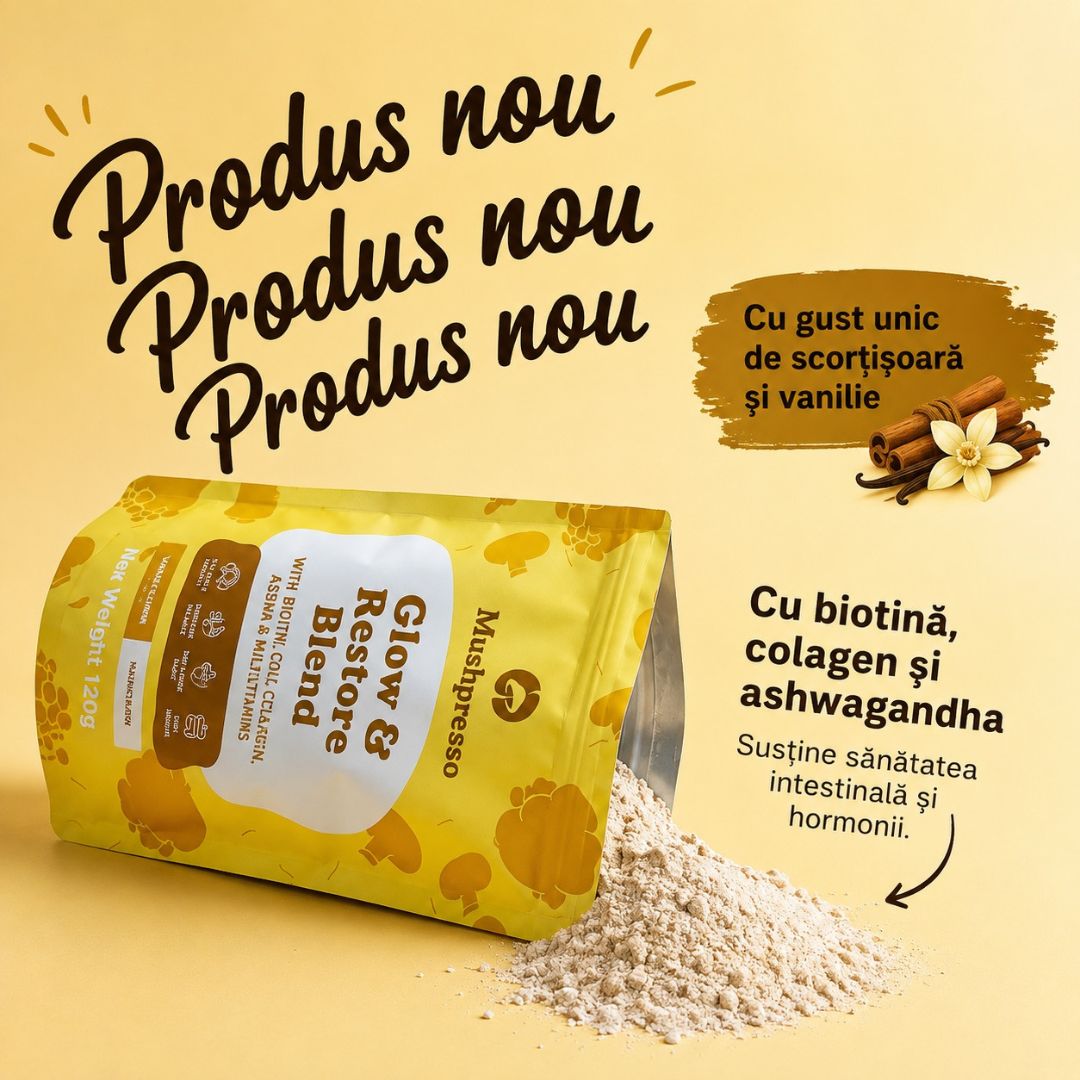 Strălucire și Echilibru – Frumusețe din Interior