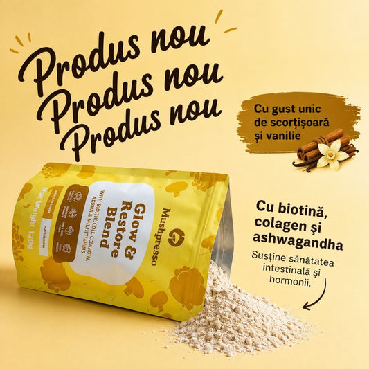 Strălucire și Echilibru – Frumusețe din Interior
