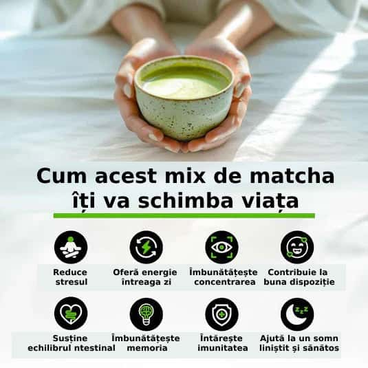 Matcha-benefits.jpg__PID:406da295-a3f6-4695-8e8c-7a1a0b6b86bf