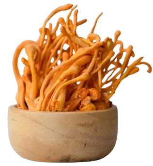 image-removebg-preview_2_1.png__PID:b2d8be71-c30c-429e-81f6-176b8091218a